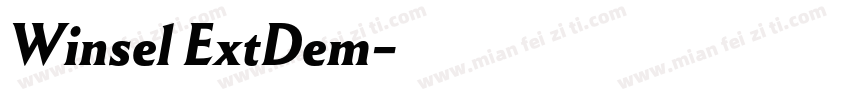 Winsel ExtDem字体转换
